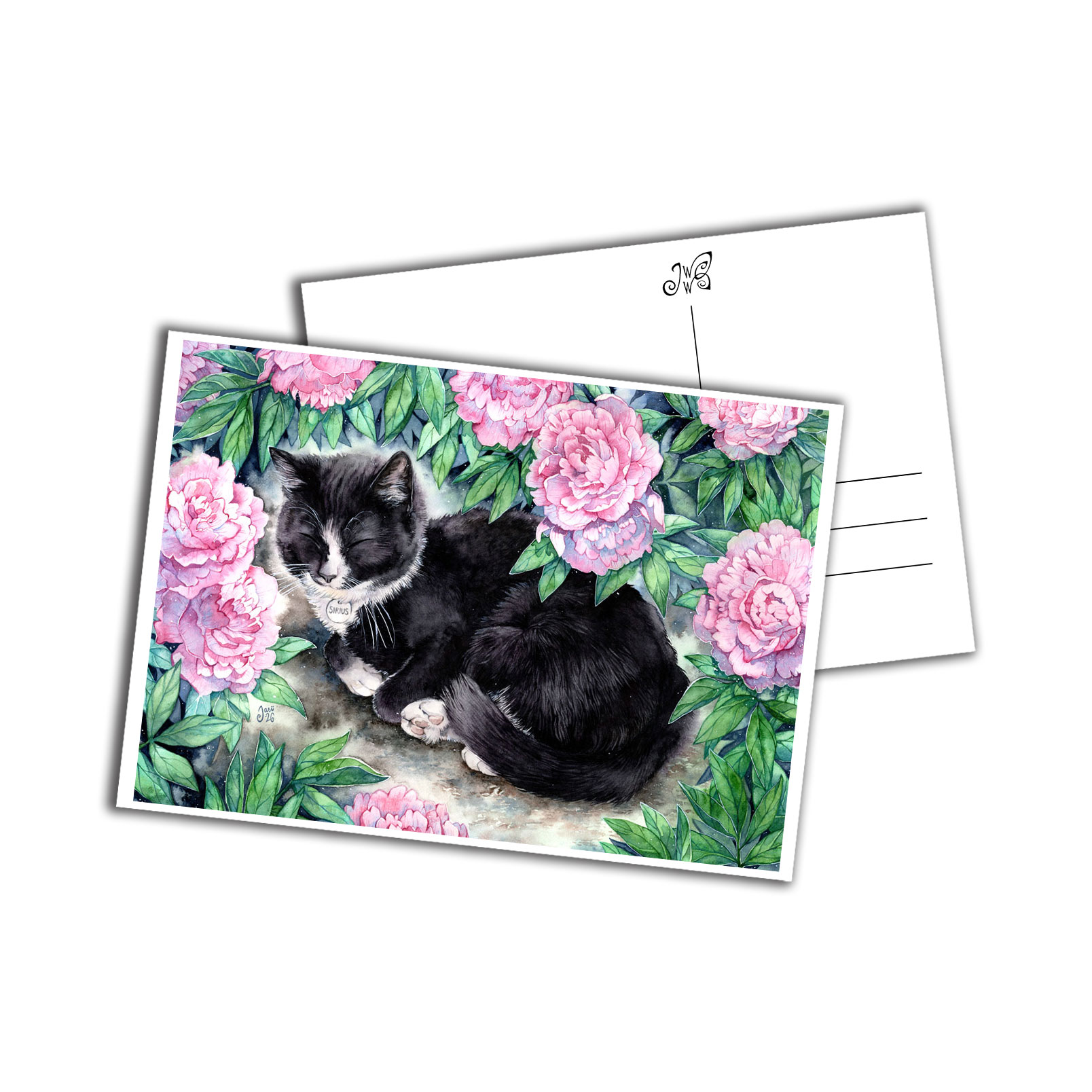 Card - Nap Under the Peonies