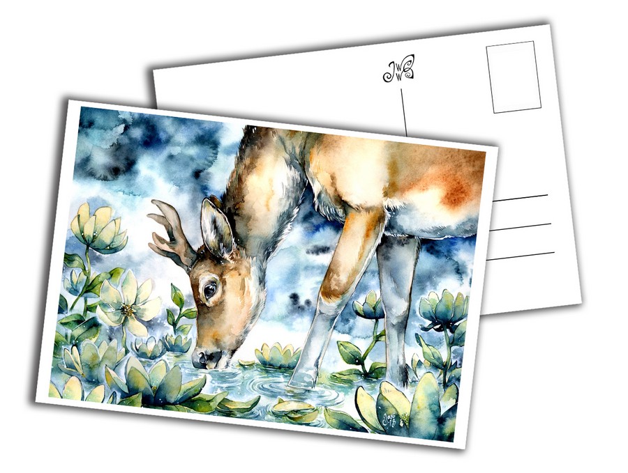 Card - Deer at Dusk