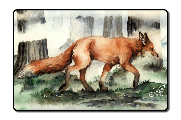 Fox in the Mist