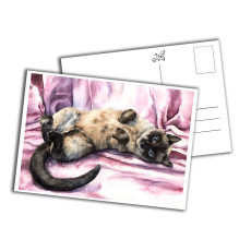 Card - The Purrfect Pose 