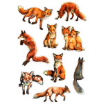Sticker Set - Foxes