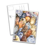 Card - Seal Family 1