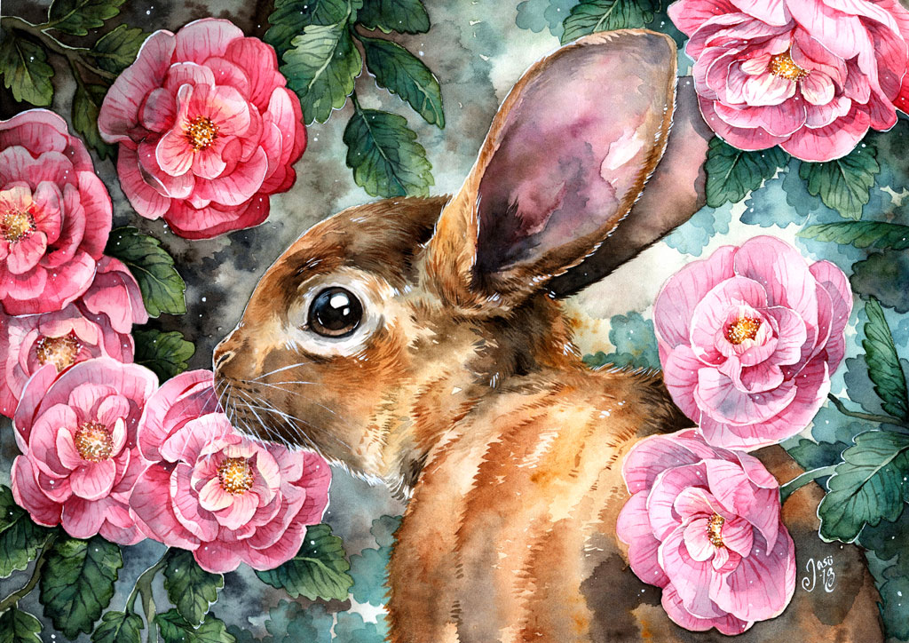 Rosy Bunny