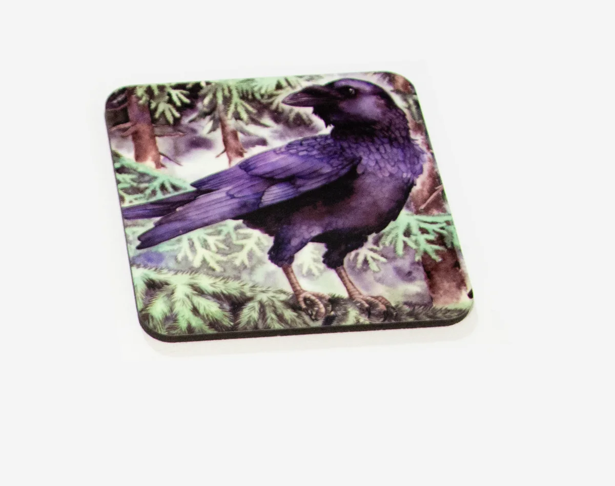 Raven in the Spruce Forest - photo 2
