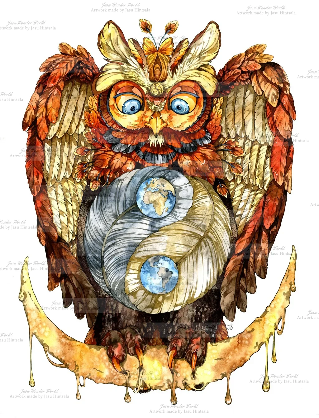 The Observer