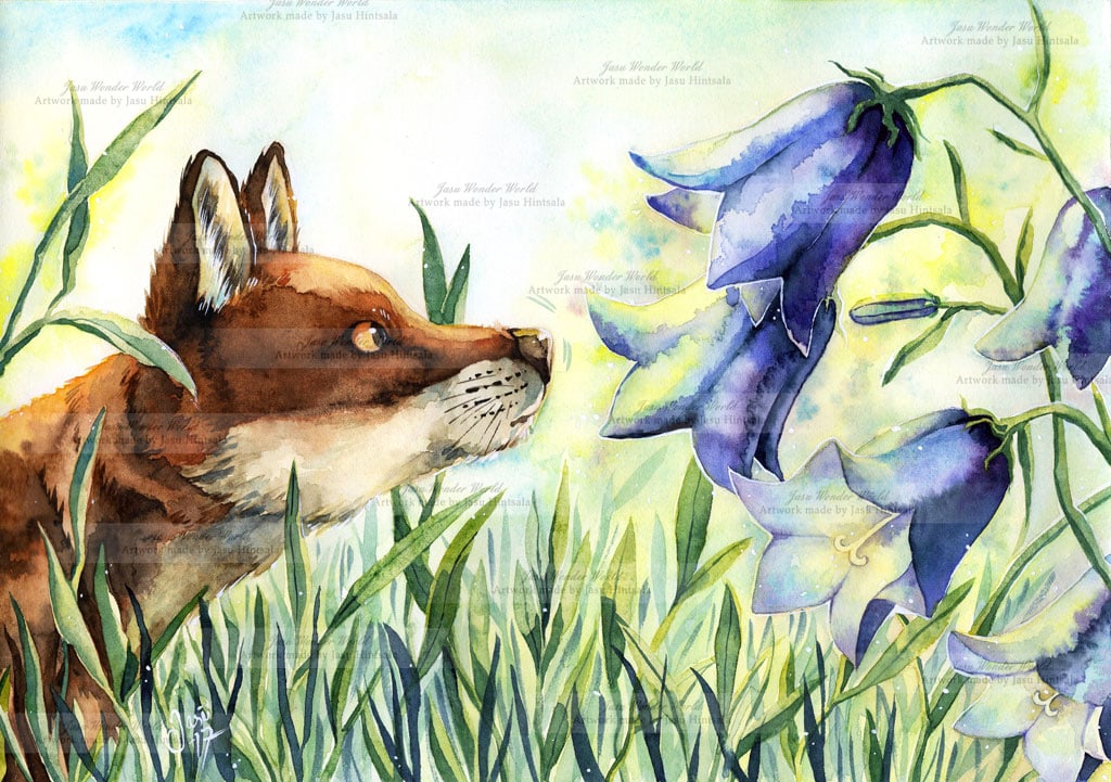 Fox and Bluebells