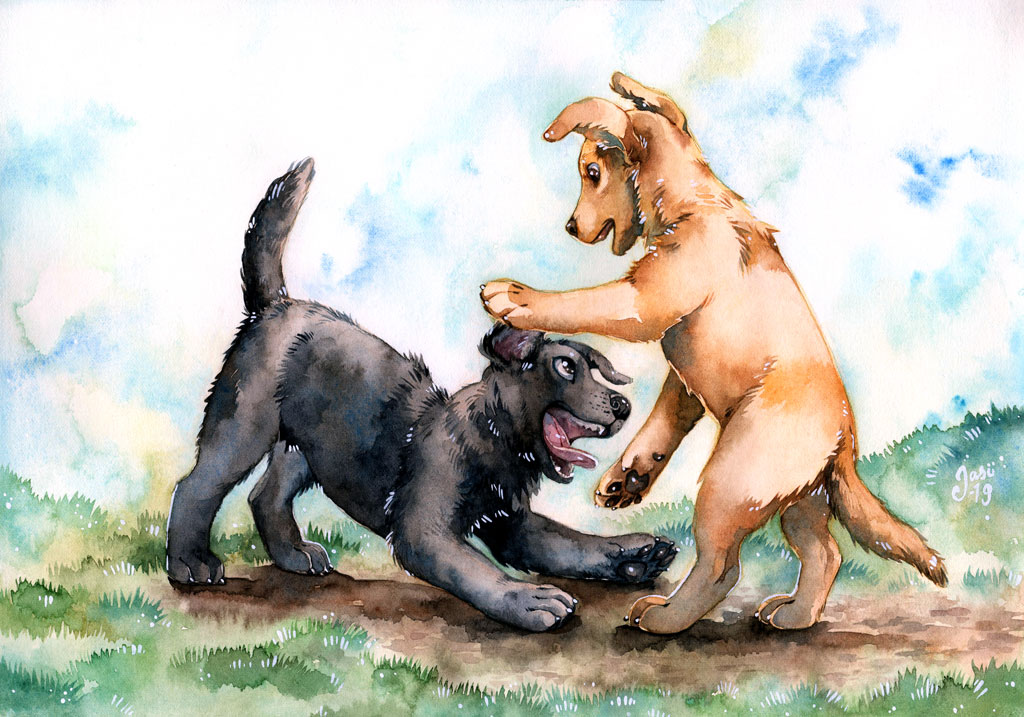 Playful Puppies