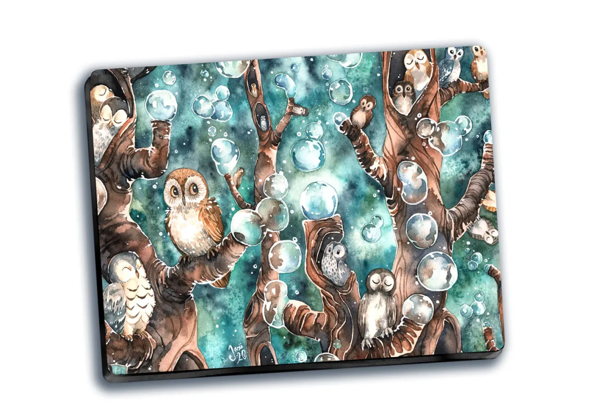 Owl Kingdom