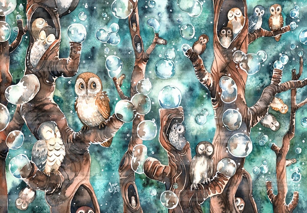 Owl Kingdom