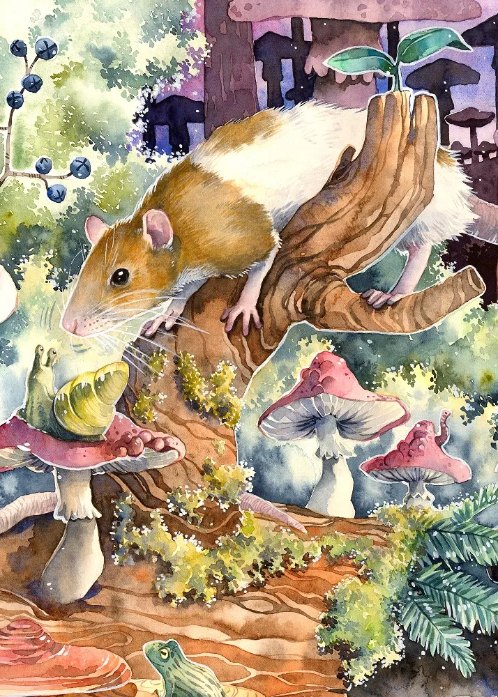 Rat Sniffing a Snail