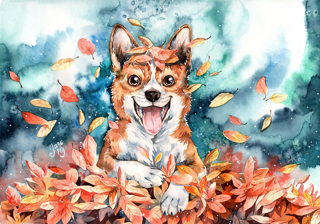 Corgi