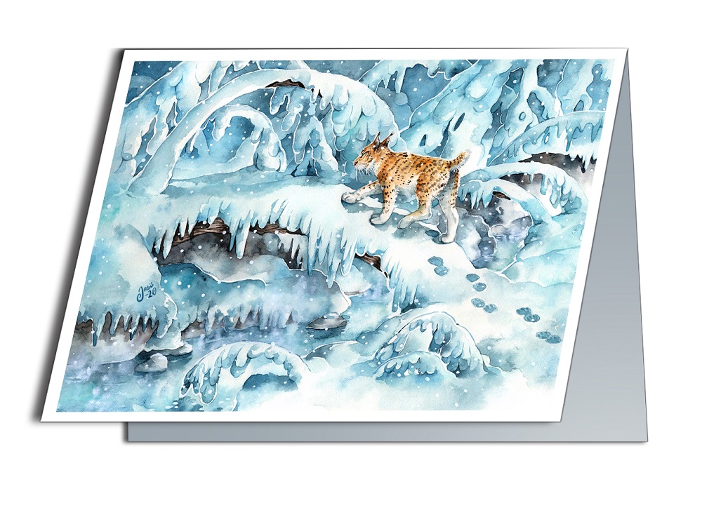 Winter Wonderland - photo 2