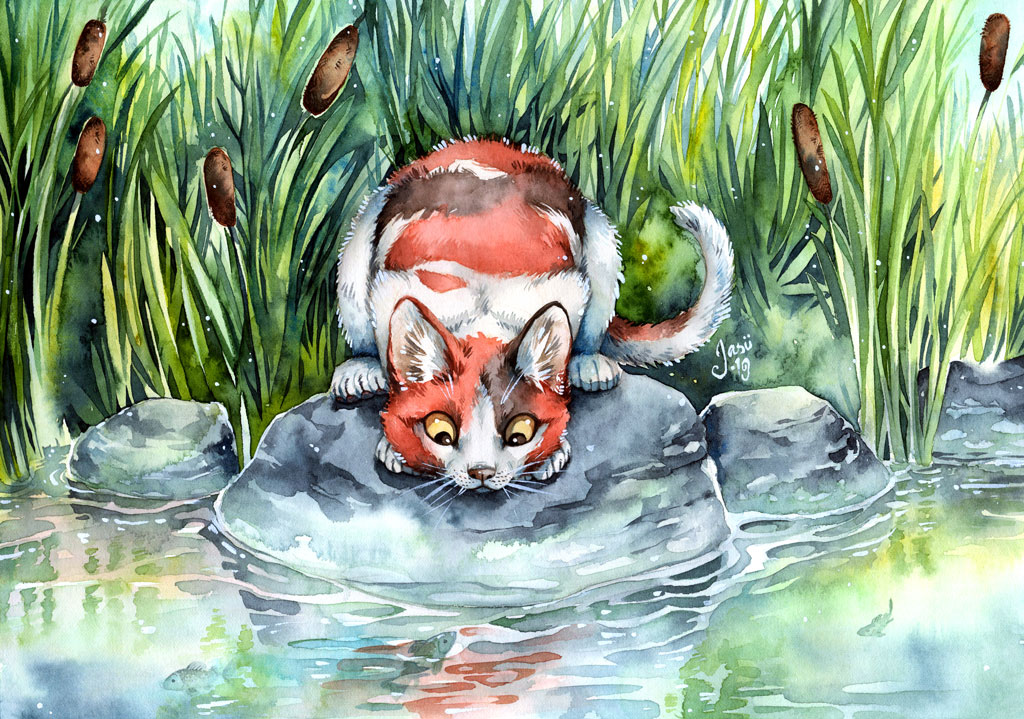 Cat at a Pond