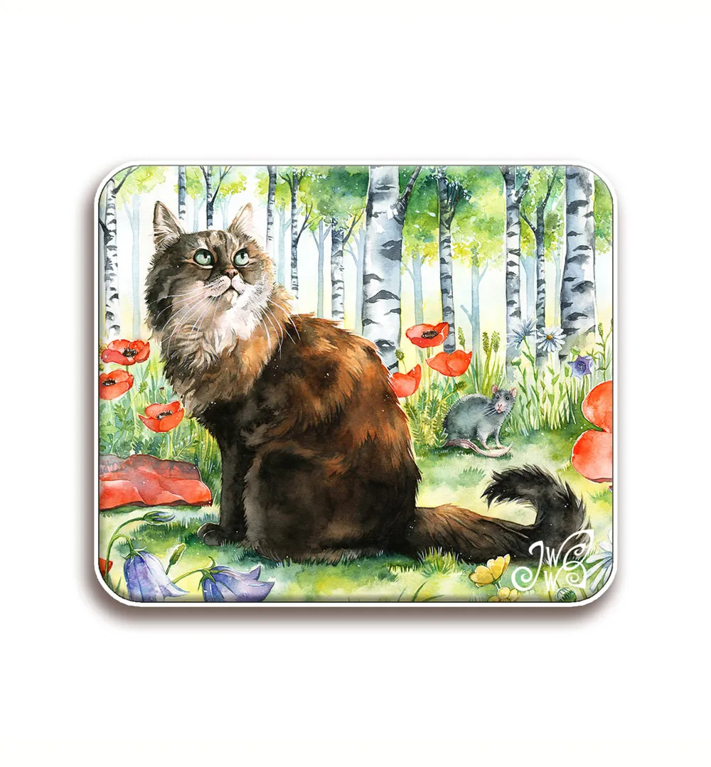Cat in Summer
