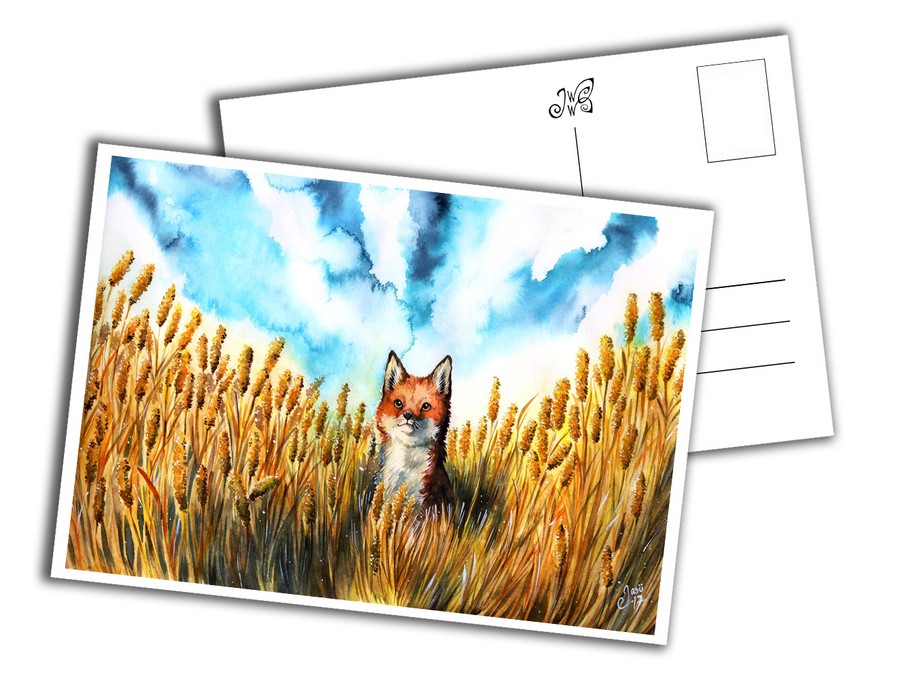 Fox on a Grain Field