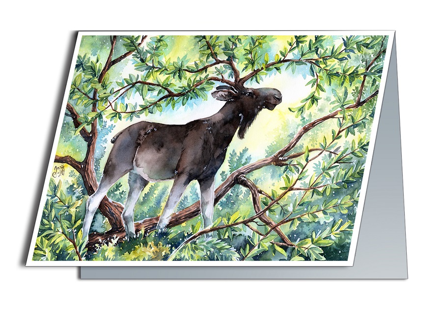King of the Forest - photo 2