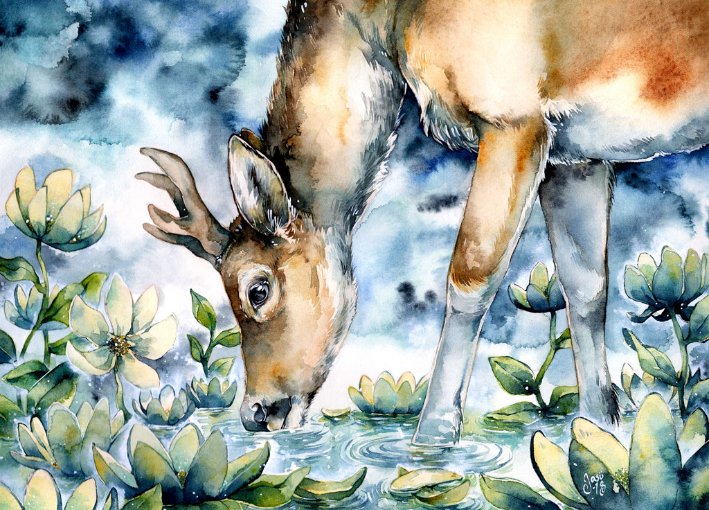 Deer at Dusk