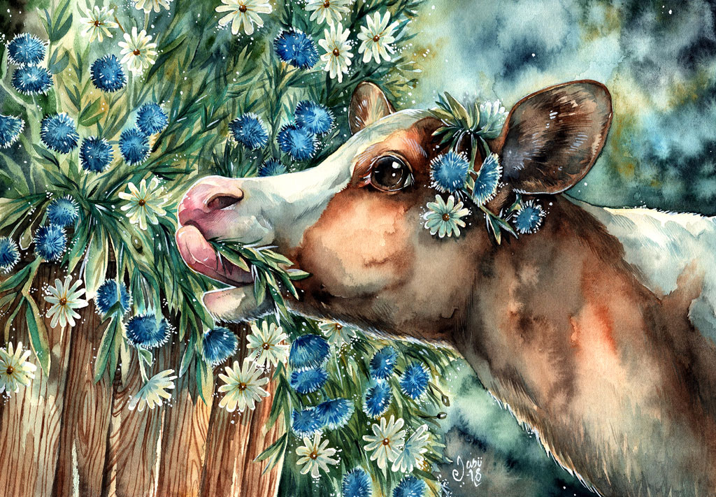 Cute (and Hungry) Calf