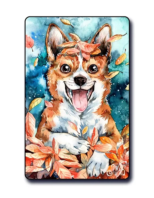 Corgi