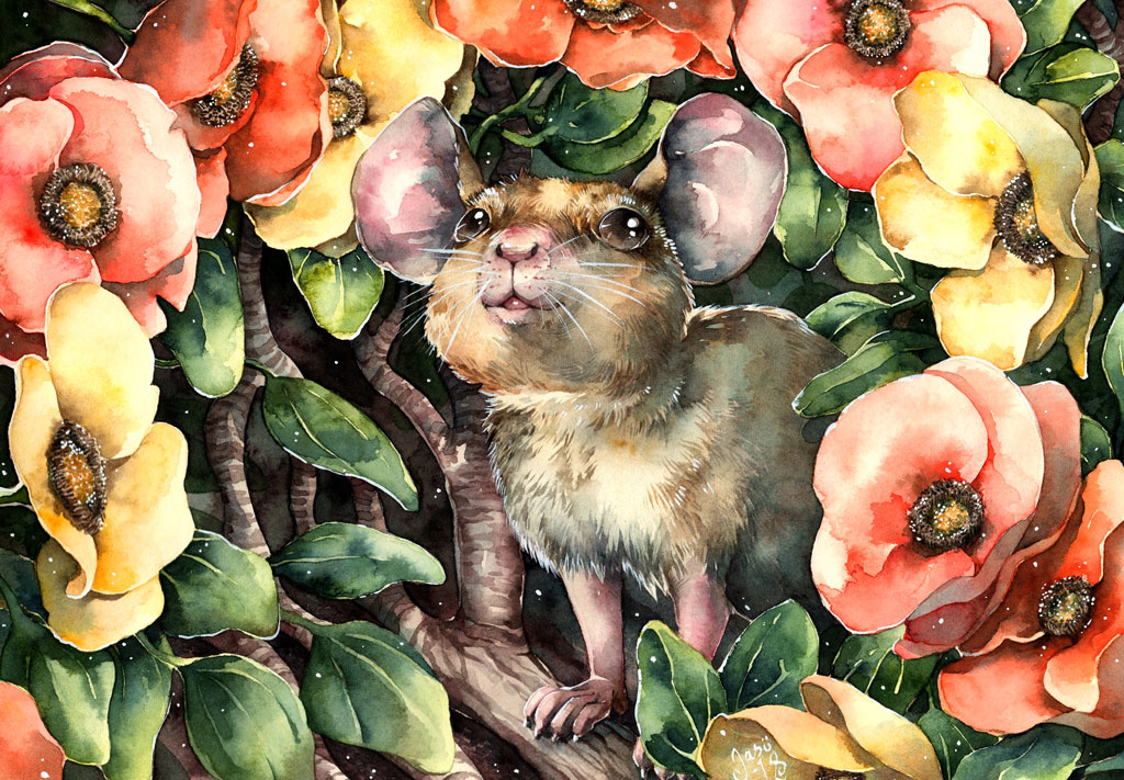 Little Mouse