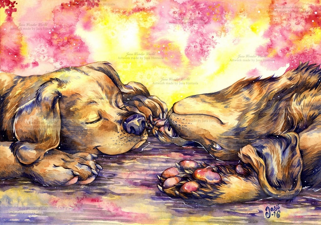 Puppy Siblings