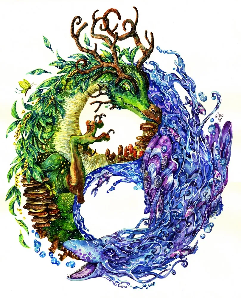Yin & Yang-drakar