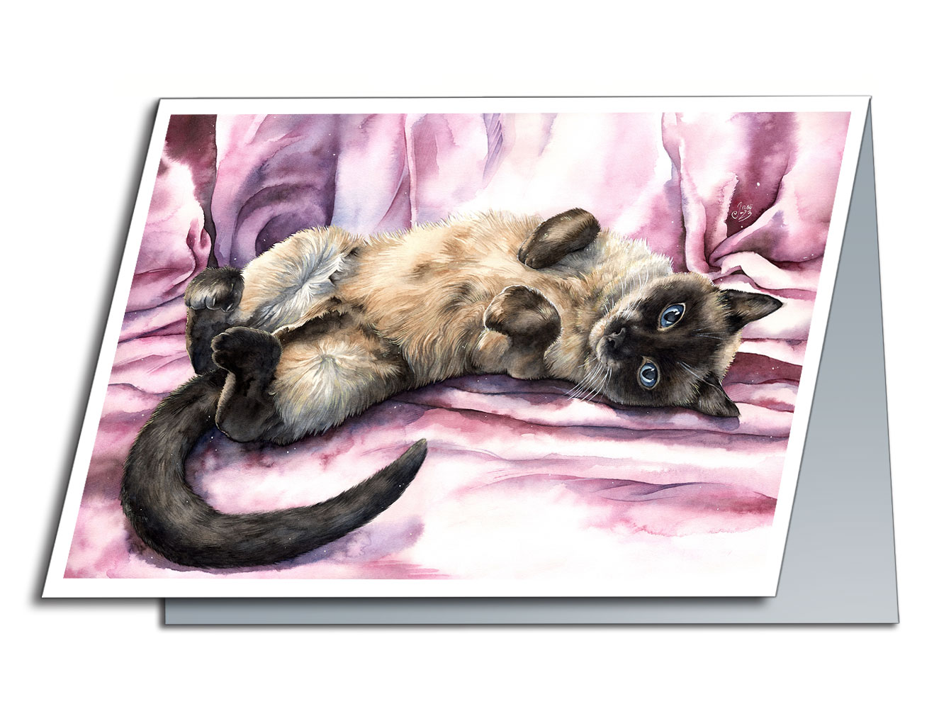The Purrfect Pose - photo 2