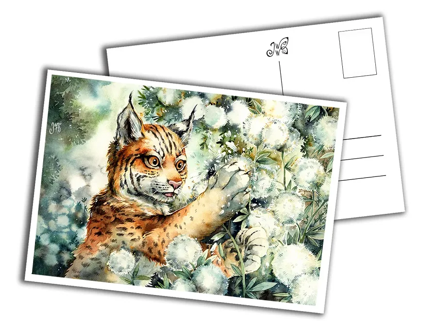 Lynx Cub