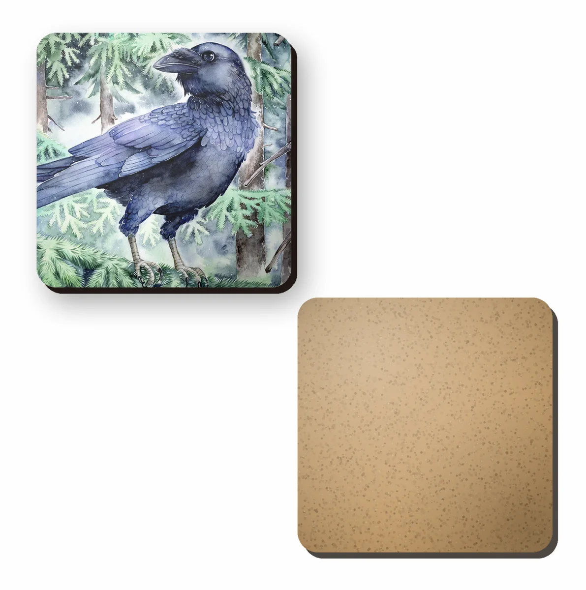Raven in the Spruce Forest - photo 3