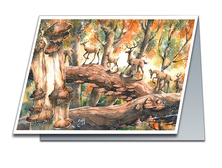 Deer Highway - photo 2