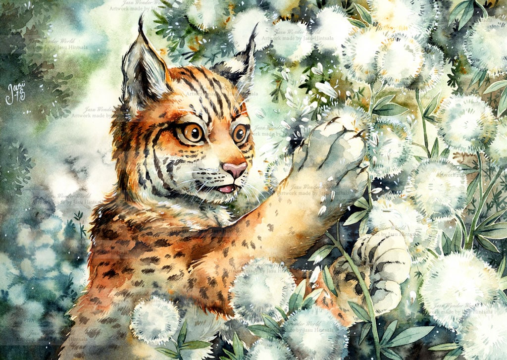 Lynx Cub