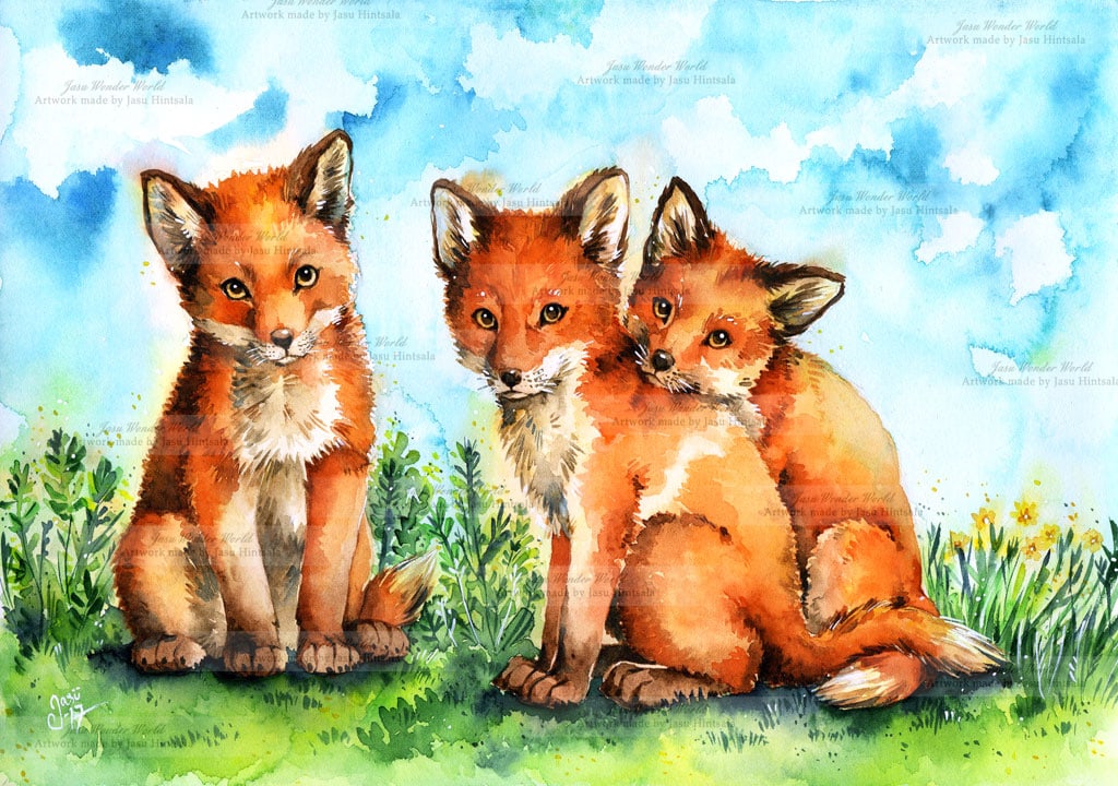 Fox Pups