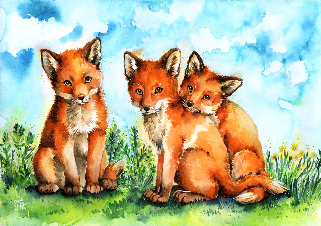 Fox Pups