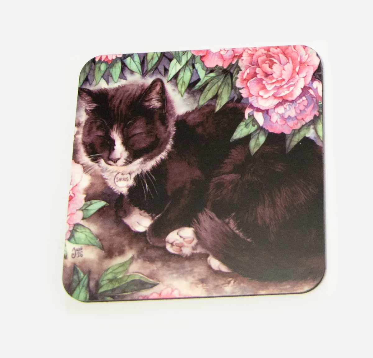 Cat Among Peonies