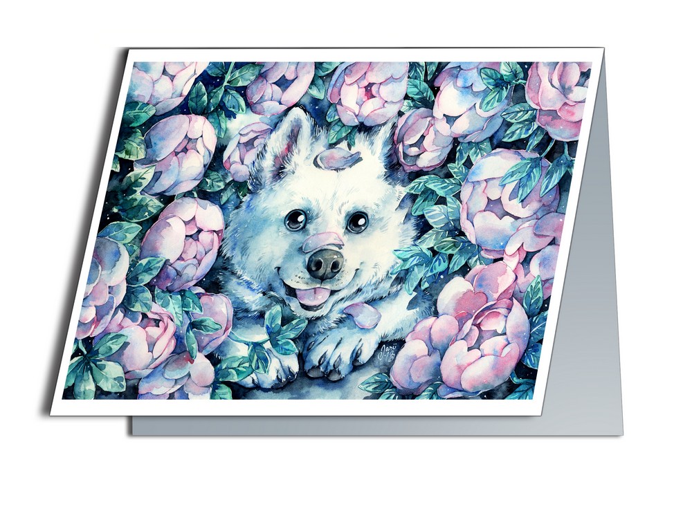 Samoyed - photo 2