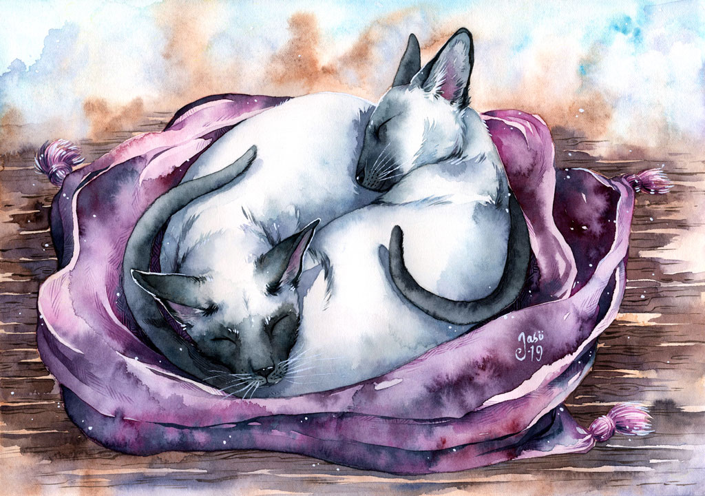 Snuggled Up