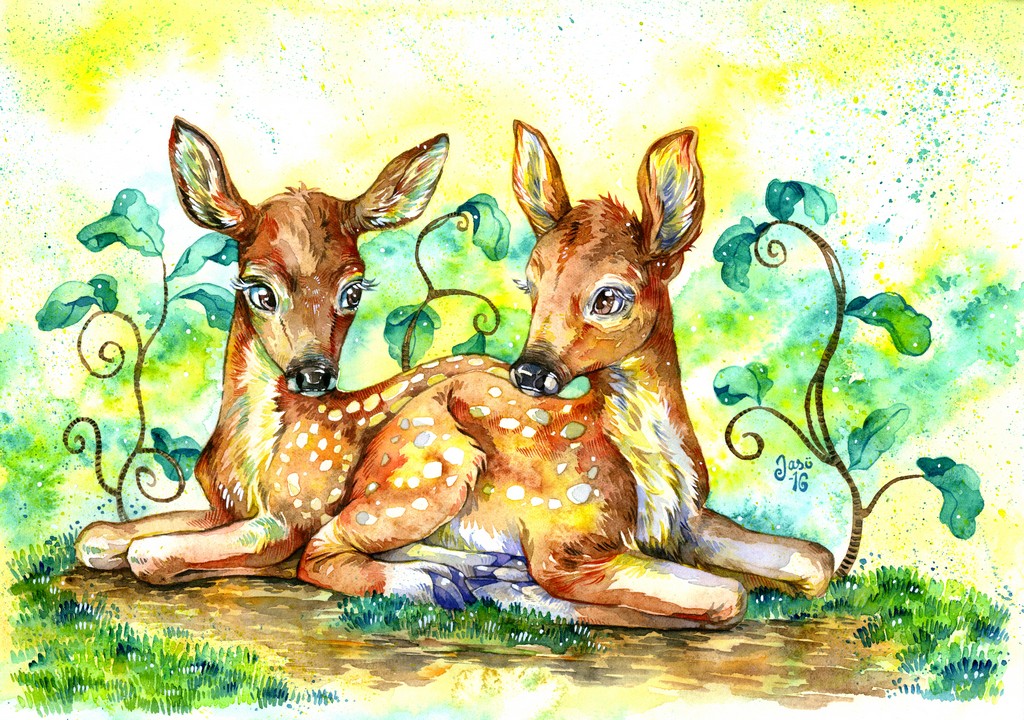 Fawns