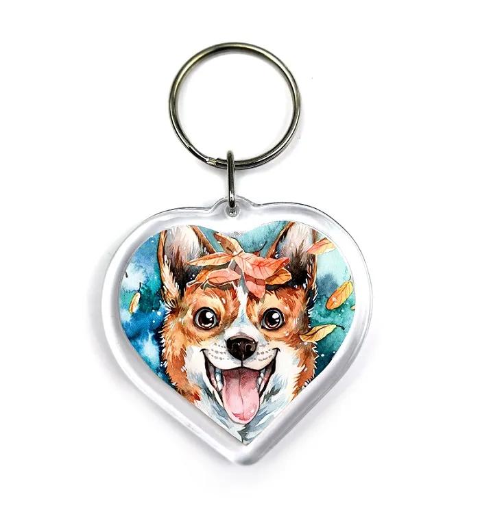 Corgi
