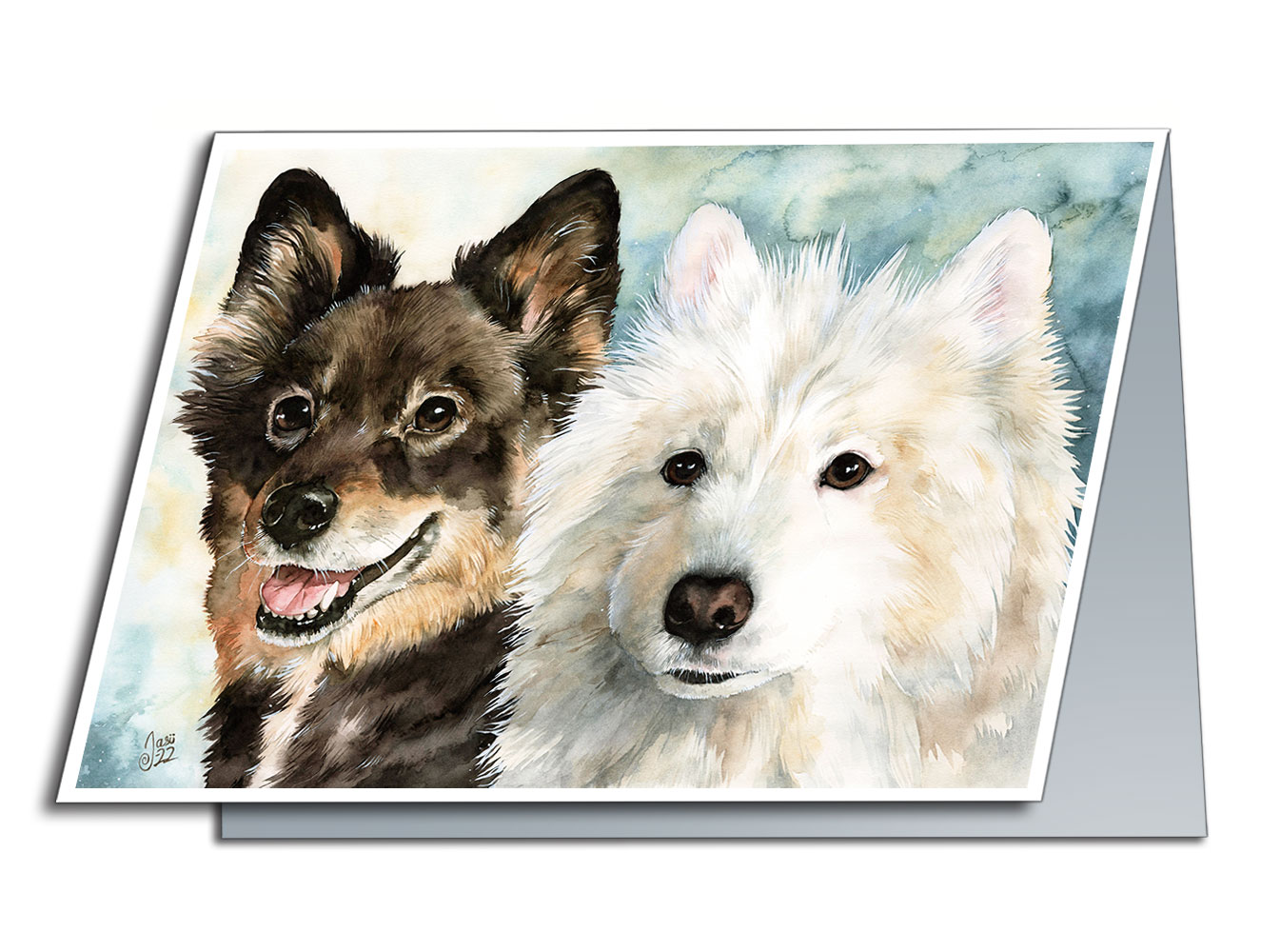 Finsk lapphund och samojed - bild 2
