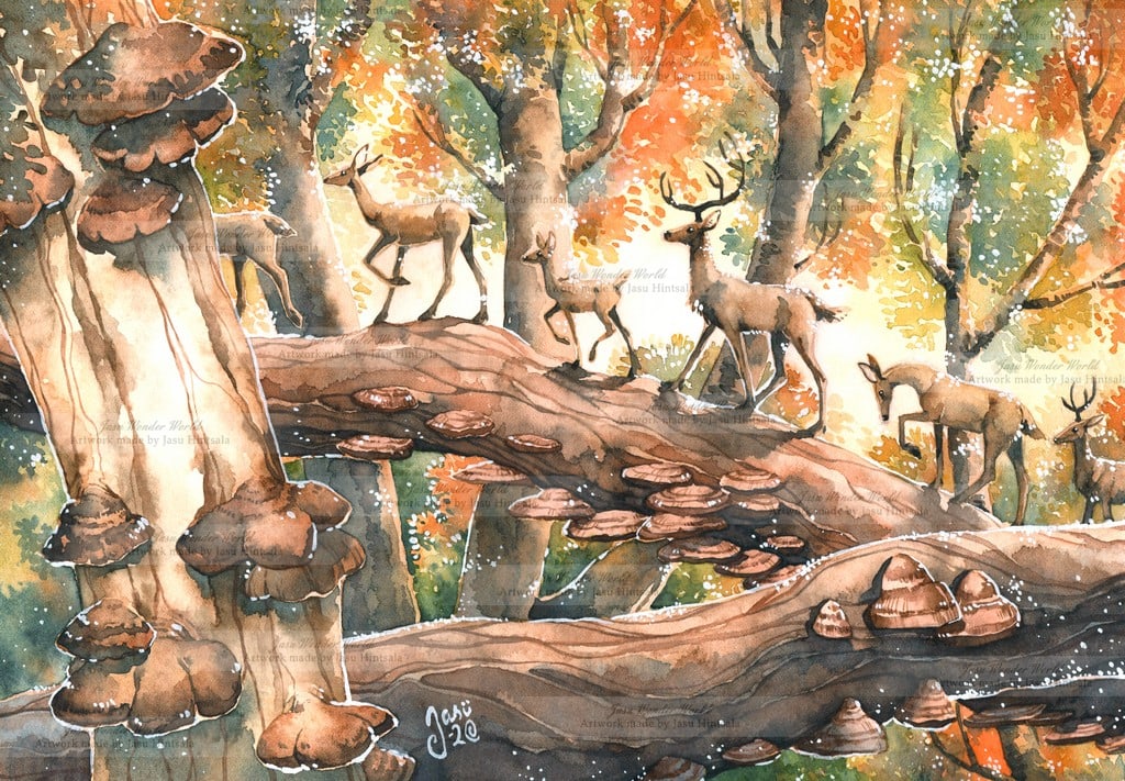 Deer Highway