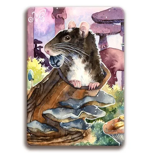 Rat with a Snack